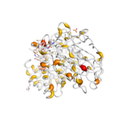 HPSE  protein 3D structural model from Catalog of Somatic Mutations in Cancer originally published in the paper COSMIC: somatic cancer genetics at high-resolution