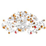 HSD17B1  protein 3D structural model from Catalog of Somatic Mutations in Cancer originally published in the paper COSMIC: somatic cancer genetics at high-resolution