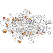HSD17B8  protein 3D structural model from Catalog of Somatic Mutations in Cancer originally published in the paper COSMIC: somatic cancer genetics at high-resolution