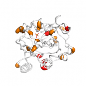 IDI1  protein 3D structural model from Catalog of Somatic Mutations in Cancer originally published in the paper COSMIC: somatic cancer genetics at high-resolution