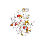 IDI2  protein 3D structural model from Catalog of Somatic Mutations in Cancer originally published in the paper COSMIC: somatic cancer genetics at high-resolution