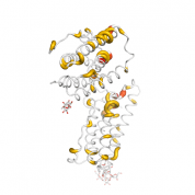 IFN b  protein 3D structural model from Catalog of Somatic Mutations in Cancer originally published in the paper COSMIC: somatic cancer genetics at high-resolution