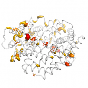 IFNG  protein 3D structural model from Catalog of Somatic Mutations in Cancer originally published in the paper COSMIC: somatic cancer genetics at high-resolution