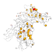 IL13RA1  protein 3D structural model from Catalog of Somatic Mutations in Cancer originally published in the paper COSMIC: somatic cancer genetics at high-resolution