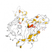 IL13RA2  protein 3D structural model from Catalog of Somatic Mutations in Cancer originally published in the paper COSMIC: somatic cancer genetics at high-resolution