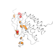 IL15RA  protein 3D structural model from Catalog of Somatic Mutations in Cancer originally published in the paper COSMIC: somatic cancer genetics at high-resolution