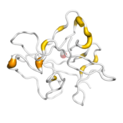 IL 18  protein 3D structural model from Catalog of Somatic Mutations in Cancer originally published in the paper COSMIC: somatic cancer genetics at high-resolution