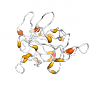 IL 1 beta  protein 3D structural model from Catalog of Somatic Mutations in Cancer originally published in the paper COSMIC: somatic cancer genetics at high-resolution