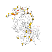 IL1R1  protein 3D structural model from Catalog of Somatic Mutations in Cancer originally published in the paper COSMIC: somatic cancer genetics at high-resolution