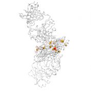 IL34  protein 3D structural model from Catalog of Somatic Mutations in Cancer originally published in the paper COSMIC: somatic cancer genetics at high-resolution