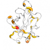 IL36G  protein 3D structural model from Catalog of Somatic Mutations in Cancer originally published in the paper COSMIC: somatic cancer genetics at high-resolution