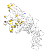 IL4R  protein 3D structural model from Catalog of Somatic Mutations in Cancer originally published in the paper COSMIC: somatic cancer genetics at high-resolution