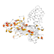 IL5RA  protein 3D structural model from Catalog of Somatic Mutations in Cancer originally published in the paper COSMIC: somatic cancer genetics at high-resolution