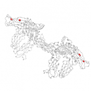 sIL 6R  protein 3D structural model from Catalog of Somatic Mutations in Cancer originally published in the paper COSMIC: somatic cancer genetics at high-resolution