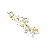 IL6R  protein 3D structural model from Catalog of Somatic Mutations in Cancer originally published in the paper COSMIC: somatic cancer genetics at high-resolution