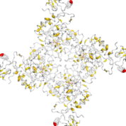 IMPDH1  protein 3D structural model from Catalog of Somatic Mutations in Cancer originally published in the paper COSMIC: somatic cancer genetics at high-resolution