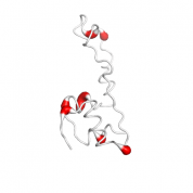 Insulin protein 3D structural model from Catalog of Somatic Mutations in Cancer originally published in the paper COSMIC: somatic cancer genetics at high-resolution