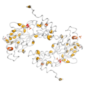 IRF 3  protein 3D structural model from Catalog of Somatic Mutations in Cancer originally published in the paper COSMIC: somatic cancer genetics at high-resolution