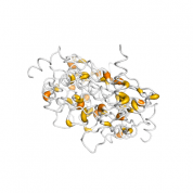 IRF 5  protein 3D structural model from Catalog of Somatic Mutations in Cancer originally published in the paper COSMIC: somatic cancer genetics at high-resolution