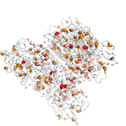 IVD  protein 3D structural model from Catalog of Somatic Mutations in Cancer originally published in the paper COSMIC: somatic cancer genetics at high-resolution