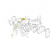 C-JUN  protein 3D structural model from Catalog of Somatic Mutations in Cancer originally published in the paper COSMIC: somatic cancer genetics at high-resolution