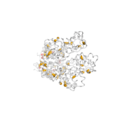 KCTD5  protein 3D structural model from Catalog of Somatic Mutations in Cancer originally published in the paper COSMIC: somatic cancer genetics at high-resolution