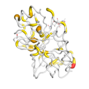 KLK5  protein 3D structural model from Catalog of Somatic Mutations in Cancer originally published in the paper COSMIC: somatic cancer genetics at high-resolution