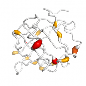 LCN1  protein 3D structural model from Catalog of Somatic Mutations in Cancer originally published in the paper COSMIC: somatic cancer genetics at high-resolution