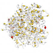 LDHA  protein 3D structural model from Catalog of Somatic Mutations in Cancer originally published in the paper COSMIC: somatic cancer genetics at high-resolution