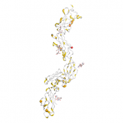 LIFR  protein 3D structural model from Catalog of Somatic Mutations in Cancer originally published in the paper COSMIC: somatic cancer genetics at high-resolution