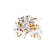 LYPLA2  protein 3D structural model from Catalog of Somatic Mutations in Cancer originally published in the paper COSMIC: somatic cancer genetics at high-resolution