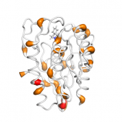 LYPLAL1  protein 3D structural model from Catalog of Somatic Mutations in Cancer originally published in the paper COSMIC: somatic cancer genetics at high-resolution