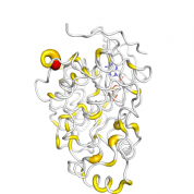 MAPK1  protein 3D structural model from Catalog of Somatic Mutations in Cancer originally published in the paper COSMIC: somatic cancer genetics at high-resolution