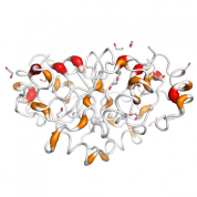 MCEE  protein 3D structural model from Catalog of Somatic Mutations in Cancer originally published in the paper COSMIC: somatic cancer genetics at high-resolution