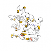 METTL21A  protein 3D structural model from Catalog of Somatic Mutations in Cancer originally published in the paper COSMIC: somatic cancer genetics at high-resolution