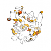 MMP 8  protein 3D structural model from Catalog of Somatic Mutations in Cancer originally published in the paper COSMIC: somatic cancer genetics at high-resolution