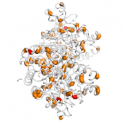 Visfatin  protein 3D structural model from Catalog of Somatic Mutations in Cancer originally published in the paper COSMIC: somatic cancer genetics at high-resolution