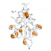 NARS  protein 3D structural model from Catalog of Somatic Mutations in Cancer originally published in the paper COSMIC: somatic cancer genetics at high-resolution