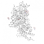 NPPC  protein 3D structural model from Catalog of Somatic Mutations in Cancer originally published in the paper COSMIC: somatic cancer genetics at high-resolution
