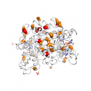 NQO2  protein 3D structural model from Catalog of Somatic Mutations in Cancer originally published in the paper COSMIC: somatic cancer genetics at high-resolution