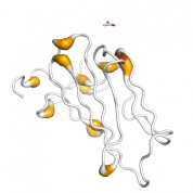 NUDC  protein 3D structural model from Catalog of Somatic Mutations in Cancer originally published in the paper COSMIC: somatic cancer genetics at high-resolution