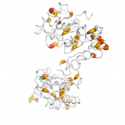 P4HB  protein 3D structural model from Catalog of Somatic Mutations in Cancer originally published in the paper COSMIC: somatic cancer genetics at high-resolution