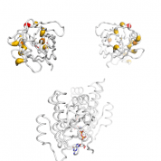PDE6D  protein 3D structural model from Catalog of Somatic Mutations in Cancer originally published in the paper COSMIC: somatic cancer genetics at high-resolution