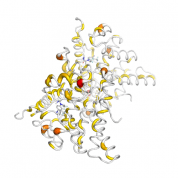 PGR  protein 3D structural model from Catalog of Somatic Mutations in Cancer originally published in the paper COSMIC: somatic cancer genetics at high-resolution