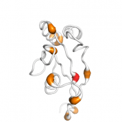 PIN4  protein 3D structural model from Catalog of Somatic Mutations in Cancer originally published in the paper COSMIC: somatic cancer genetics at high-resolution