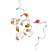 PKNOX1  protein 3D structural model from Catalog of Somatic Mutations in Cancer originally published in the paper COSMIC: somatic cancer genetics at high-resolution