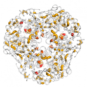 PNPT1  protein 3D structural model from Catalog of Somatic Mutations in Cancer originally published in the paper COSMIC: somatic cancer genetics at high-resolution