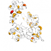 POLB  protein 3D structural model from Catalog of Somatic Mutations in Cancer originally published in the paper COSMIC: somatic cancer genetics at high-resolution