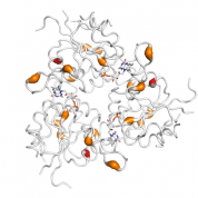 PPCDC  protein 3D structural model from Catalog of Somatic Mutations in Cancer originally published in the paper COSMIC: somatic cancer genetics at high-resolution