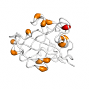 Cyclophilin A  protein 3D structural model from Catalog of Somatic Mutations in Cancer originally published in the paper COSMIC: somatic cancer genetics at high-resolution
